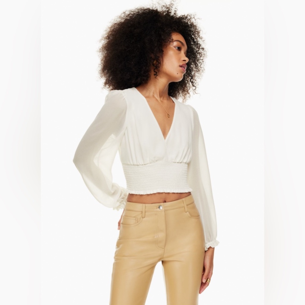 Aritzia Wilfred Wistful Blouse